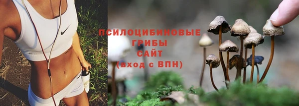 мдпв Беломорск