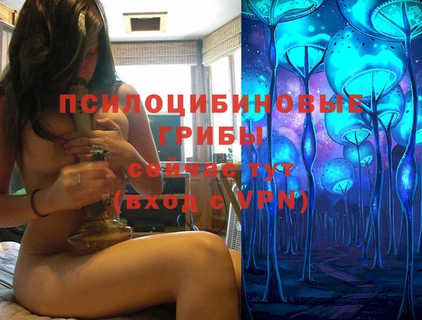синтетический гашиш Белокуриха