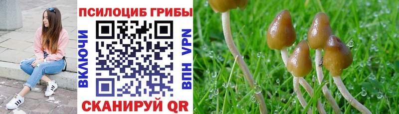 гидра ССЫЛКА  Чусовой  сайты даркнета телеграм  Псилоцибиновые грибы Cubensis 